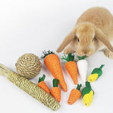 Juguete para masticar conejo hámster, juguetes para morder y moler dientes, bolas tejidas de zanahoria y maíz