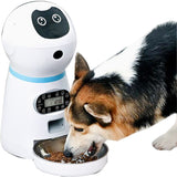 Alimentador automático inteligente para mascotas con pantalla LCD de acero inoxidable con registro de voz