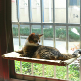 Cama con ventana para gatos